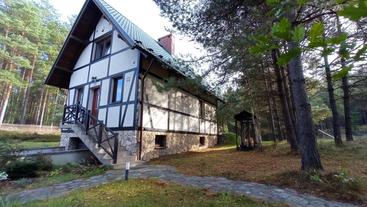 Radunska Ostoja Villa Dziemiany Ngoại thất bức ảnh
